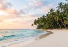 Best Beaches in Sri Lanka for Relaxation Pristine_Beach_Sri_Lanka